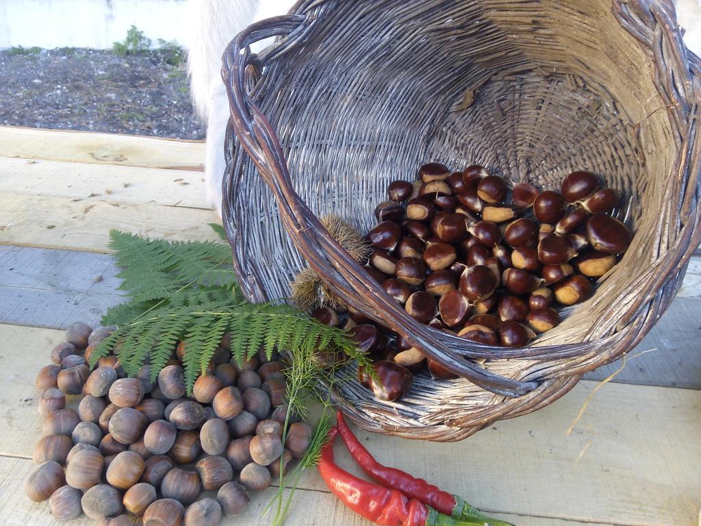 Il Giardino Di Leoca Bed and Breakfast Nicolosi Δωμάτιο φωτογραφία