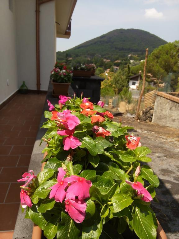 Il Giardino Di Leoca Bed and Breakfast Nicolosi Εξωτερικό φωτογραφία